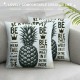 Ulloord Decor Throw Pillow Covers Vintage &nbsp; Green Fruits Pillow Case Square Cushion Cover for Sofa