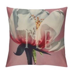 Qinduosi Set of Pillow Covers Spring Throw Pillow Covers Soft Pink Floral Flower Cushion Covers Square Pillow Cases for Couch Sofa Patio Outdoor Home Decorations