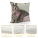 Easter Pillow Covers Set of Spring Eggs Leaf Decorative Outdoor Throw Pillows Holiday Easter Decorations Cushion Covers Rustic Decor for Sofa Bed