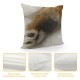 Qinduosi Throw Pillow Cover Bunny Tail Mammals Square Cushion Case for Men Women Boys Girls Room Home Decor Linen Inch