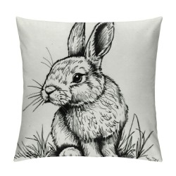 Qinduosi Bunny Easter Pillow Covers, Easter Rabbit Pillow Covers , Easter Decorative Throw Pillow Cover, Easter Bunny for Sofa Bed Room Home Decor Reversible Pillow Case