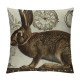 Vintage Rabbit Bunny Pillow Cover Easter Decorations Cute Animal Home Decor Throw Pillow Case Cremones De Fenetre Paris Stamps Cushion Cover inch (Paris Rabbit)