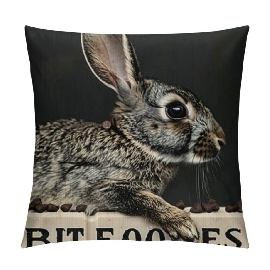 Vintage Farmhouse Throw Pillow Covers Set of Blue Stripe Hare Retro Spring Summer Decor Rabbit Pillow Case Cushion for Sofa Couch