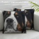 Interesting Bernese Mountain Dog Side Pillow Cover, Home Decor Cushion Cover, Sofa Pillow Pillow Cover