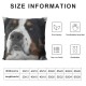 Interesting Bernese Mountain Dog Side Pillow Cover, Home Decor Cushion Cover, Sofa Pillow Pillow Cover