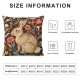 Pillow Cover,Medieval Rabbit I Modern Throw Pillow Case Modern Cushion Cover Square Pillowcase Decoration for Sofa Bed Chair Car Inch