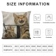 Qinduosi  Fathers Day Pillow Covers Animal Pillow Covers Cat Throw Pillow Cover Funny Cellphone Selfie Smile Square Pillow Case Cushion Cover for Father's Day Home Car Decorative