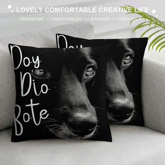 Qinduosi White In The House We Narrate The Dog’s Thoughts Decor Decorative Pillowcase Throw Pillow Cover Inch,New Puppy Dog Quotes Decor Decorations Pillow Cover For Home,Gifts For Dog Lover Owner