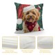 Qinduosi  Christmas Dog Throw Pillow Covers Inch Xmas Lovely Pet Dog Red Decorative Pillows for Couch Sofa Bed Home Holiday Decor Set of