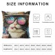 Qinduosi Hello Summer Golden Retriever Dog Decorative Throw Pillow Covers Set of , Tuxedo Cat Pet Pool Days Sun Rays Porch Outdoor Pillowcase, Rainbow Stripes Cushion Case Home Decor