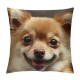 Qinduosi Cute Pomeranian Dog Print Throw Pillow Covers Decorative Pillow Cover Square Cushion Cases Soft Cushion Cover Throw Sofa Pillow Case for Home Decor Living Room Bed Couch Car