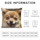 Qinduosi Cute Pomeranian Dog Print Throw Pillow Covers Decorative Pillow Cover Square Cushion Cases Soft Cushion Cover Throw Sofa Pillow Case for Home Decor Living Room Bed Couch Car