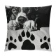 Qinduosi Dog Pillow Cover, We Hope You Like Dog Reversible in Throw Pillow Case, Spoiled Dogs Decoration for Home Sofa Couch Room Bed, Dog Lovers Gifts for Women Men,  Pack()