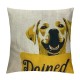 Qinduosi Decorative Throw Pillow Case Cover, Inches, with All You Need is Love and A Dog Yellow Puppy for Dog Lover Bed Sofa Couch