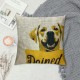 Qinduosi Decorative Throw Pillow Case Cover, Inches, with All You Need is Love and A Dog Yellow Puppy for Dog Lover Bed Sofa Couch