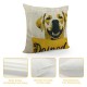 Qinduosi Decorative Throw Pillow Case Cover, Inches, with All You Need is Love and A Dog Yellow Puppy for Dog Lover Bed Sofa Couch