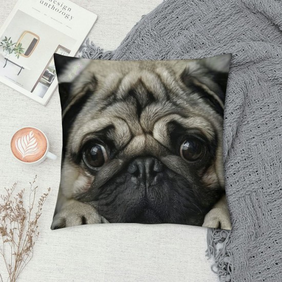 Dog Pillowcase inch Two Sides Zippered Pillow Cover Cases