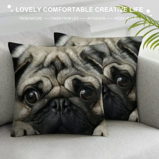 Dog Pillowcase inch Two Sides Zippered Pillow Cover Cases