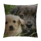 Qinduosi  Animals Cat Kitten Dog Golden Retriever Puppy Farmhouse Pillow Cover Linen Decorative Square Throw Pillow Cover Inch for Sofa Couch Decoration