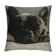 French Bulldog Throw Pillow Case Home Decorative Cushion Cover for Sofa Couch Bedding Inches