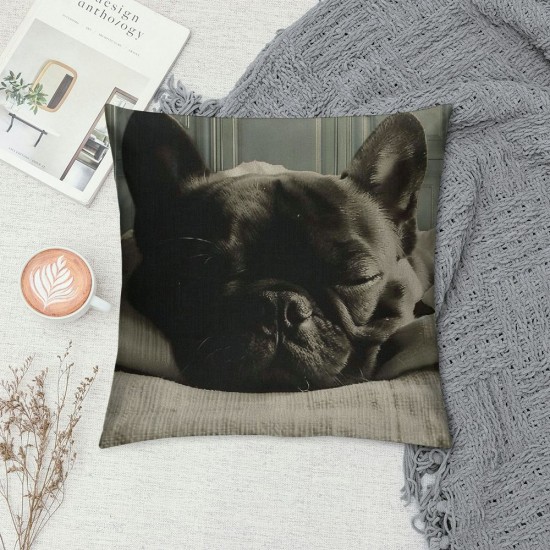 French Bulldog Throw Pillow Case Home Decorative Cushion Cover for Sofa Couch Bedding Inches