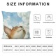 Qinduosi  Forest Animals Throw Pillow Covers Inch Fox Bear Squirrel Owl Kids Pillows Case for Sofa School Home Decor Set of