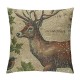 Qinduosi Vintage Wildlife AnimalsThrow Pillow Covers Squirrel Bear Elk Rabbit with Green Plants Cushion Cover Home Decor Square Linen Pillowcase  Set of  (Animals)