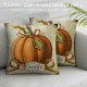 Qinduosi Farmhouse Animal Fall Decor Pillow Covers Set of Stripes Retro Farmer's Market Truck Turkey Cow Sheep Pumpkin Floral Farm Fresh Autumn Decorative Throw Pillow Case Cushion Cover F