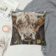 Qinduosi Highland Cow Art Farmhouse Throw Pillow Cover Decor Vintage Country Farmhouse Art for Gifts and Home Decor Throw Pillow Cover Inch