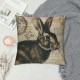 Qinduosi  Vintage Easter Bunny Pillow Cover Cute Animal Rabbit Home Decor Linen Throw Cushion Case