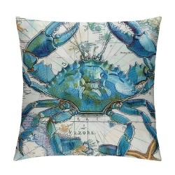 PHYHOO Sea Beach Theme Pillow Covers Kids Beach Crabs Print Cushion Cases Sea Animal Crab Throw Pillow Covers Decorative Square Pillow Cases For Living Room Reversible