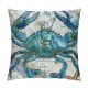 PHYHOO Sea Beach Theme Pillow Covers Kids Beach Crabs Print Cushion Cases Sea Animal Crab Throw Pillow Covers Decorative Square Pillow Cases For Living Room Reversible