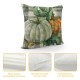 Fall Pumpkin Pillow Covers Watercolor Pumpkin Gray Buffalo Plaid Farmhouse Throw Pillow Cases Autumn Thanksgiving Gather Decoration for Home Decor Cushion Covers