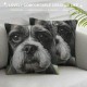 Throw Pillow Covers Cute Dog Lovely Animal Design Square Pillowcases for Home Decor Sofa Car Bedroom Pillow Cases