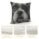 Throw Pillow Covers Cute Dog Lovely Animal Design Square Pillowcases for Home Decor Sofa Car Bedroom Pillow Cases