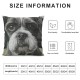 Throw Pillow Covers Cute Dog Lovely Animal Design Square Pillowcases for Home Decor Sofa Car Bedroom Pillow Cases