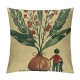 PHYHOO Vintage Farmhouse Animal Pillow Covers  Retro Farmer's Market Truck Rooster Sheep Feed Seed Premium Poultry Farm Home Décor Throw Pillow Case Cushion Cover for Sofa