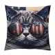 Funny Cool Cat Decorative Throw Pillow Cover Square Cushion Cases Printed Pillowcase for Couch Sofa Living Room