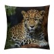 African Animal Safari Leopard Wildlife Pillow Cover,Decorative Couch Pillow Cover for Sofa,Short Plush Cushion Case Indoor Outdoor Home Decoration