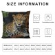 African Animal Safari Leopard Wildlife Pillow Cover,Decorative Couch Pillow Cover for Sofa,Short Plush Cushion Case Indoor Outdoor Home Decoration