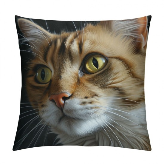 XINLUO Short Plush Pillowcase  Cute Cat Square Pillow Case for Bedroom, Sofa, Car Decoration Both Sides