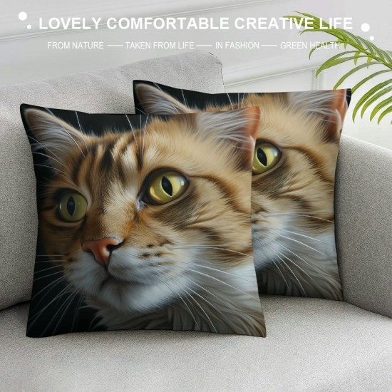 XINLUO Short Plush Pillowcase  Cute Cat Square Pillow Case for Bedroom, Sofa, Car Decoration Both Sides